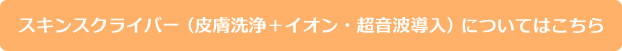 スキンスクライバー（皮膚洗浄＋イオン・超音波導入）についてはこちら