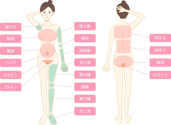 全身脱毛箇所の前御部分の施術部位のイラスト画像