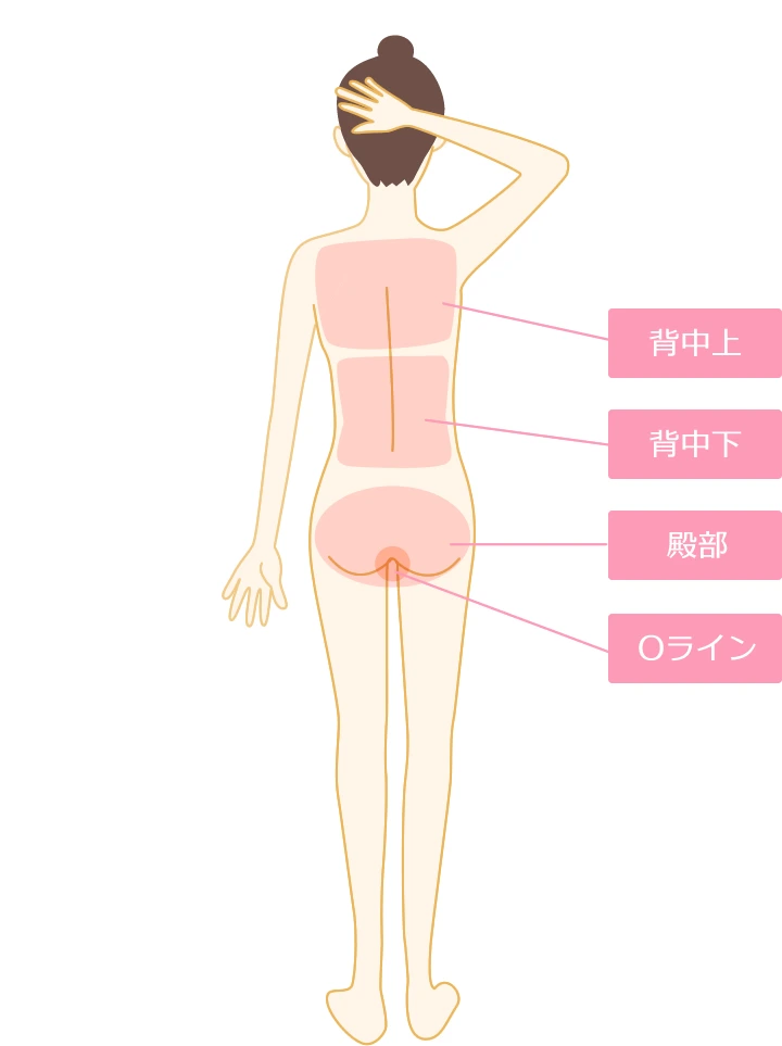 全身脱毛箇所の後ろ部分の施術部位のイラスト画像